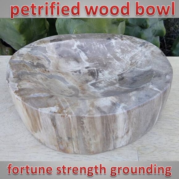 heavy petrified wood bowl 04 stone fossil rock crystal